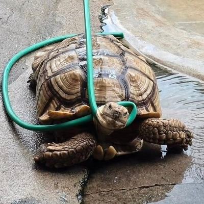 yinwar32116's profile picture. แอคใหม่รอบที่n แอคเก่าลืมรหัสเข้าไม่ได้
พื้นที่เก็บความทรงจำ🤍 เมนหลัก 👉🏻@yinyin_anw @warwanarat👈🏻 Wang Yibo💚
support #ARGENTIS