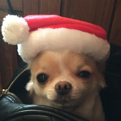 thegomiii's profile picture. 꿈뻑토끼토끼