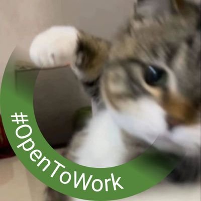 akazentemp's profile picture. 