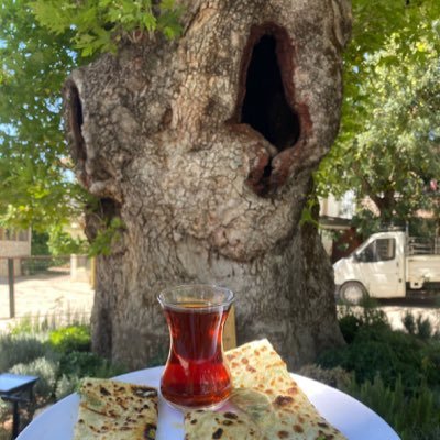 humanisttt75's profile picture. 