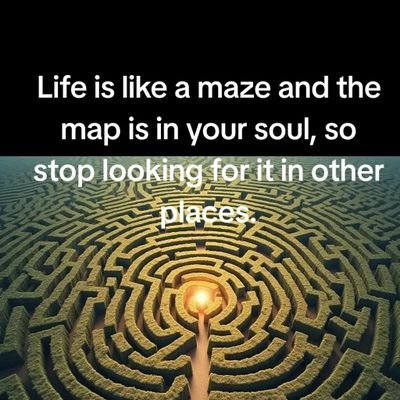 Sofia2023882842's profile picture. 