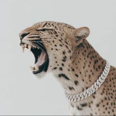 ngaireTH's profile picture. 🇰🇪🦩🫡