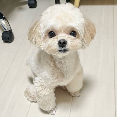 hinachan_wa's profile picture. ç¬ã®è¥¿ããð¶ ð ä»ã¡ã€ã³ããâŒïž  ããšæ®åœ±ç³»ã¯æåŒ·ð¥è³ªåã¯ãã¡ãðïž https://t.co/2OGJdNclnl