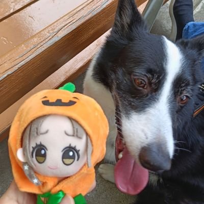 ssDD283's profile picture. メイン学マスP(🧡千奈🐿️担当)/アイマスシリーズ全般/各担当は固定に↓/ドラえもん&プリキュアシリーズ愛/キラッキランランズ所属/雑多垢🫠/無言フォロー&うるさい感想等失礼します🙏/25↑/アイコンは世界一かわいい愛犬と担当アイドル/🔑@ssdd283283