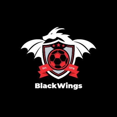Blackwingsanal's profile picture. God is good
