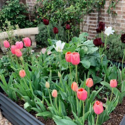 dpoon83132854's profile picture. 