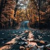 snyder_qXDDD's profile picture. Artistic Soul 🌐 Innovator behind TechForEducation, bridging the digital divide ▪️ Travel junkie 
DIY home chef 🍳