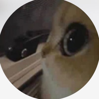 Oumarijaz's profile picture. God. CEO of @tetraxxyz.