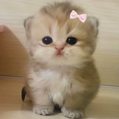 ishnoorkukr18's profile picture. Follow kro follow back