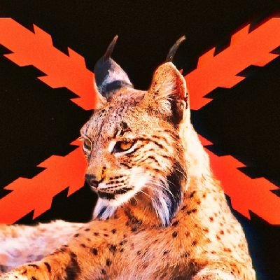 iberisimo1492's profile picture. España y tal.
Full time chud