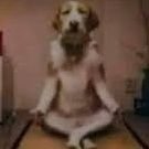 Darbuenasnoches's profile picture. ESP/ENG//Intento de gamedev. Me mola dibujar y los vst (@darbuenosdias). He/him/chaval. DNI: gilipollas varios.