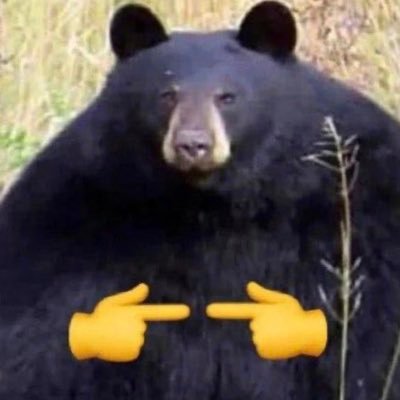 BigHagrid1's profile picture. Capital markets enthusiast | CFO @BecauseBitcoin & @BBWealthMGMT