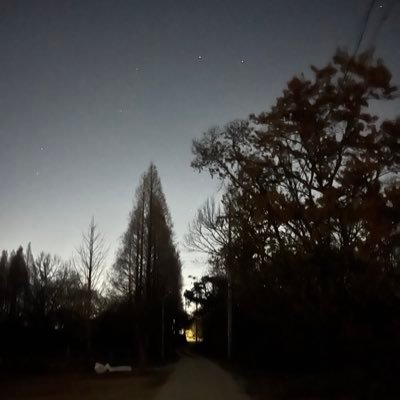 MonCashJi's profile picture. 