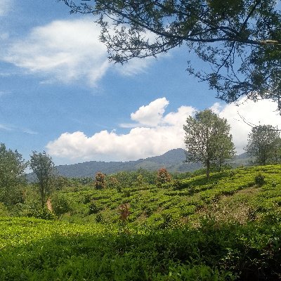 sanurinapasha's profile picture. Alhamdulliah