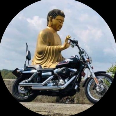 searounna's profile picture. 수영 주짓수 하는 사람 우짜라고 우짤라미 우짜라느뇽