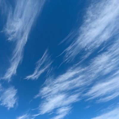 NinjaDc3's profile picture. 