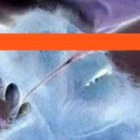 0xDeadAceEth's profile picture. Multicycle Surviving Cockroach, Founder. Anonymous. 

0xDeAd68E02AE825FDfeaE250393abFde1A40FDACE