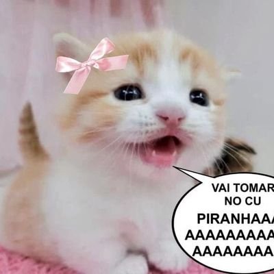 amopeiitoss's profile picture. eu só falo merda