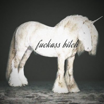 SYVLERR's profile picture. The metal🪙🩶. 🩶🤍