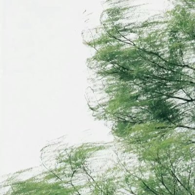 May704954685972's profile picture. 