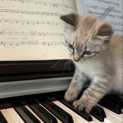 pianist_56's profile picture. 🎹+🎶🎵