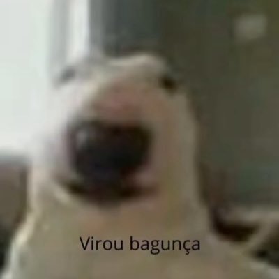 gcn10x's profile picture. dev & mkt