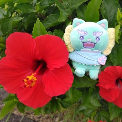 JO1andJAM312's profile picture. 元国プ🌺強め✈️も🫶🏻 JO1だけ💓
📱🗣️🌺’21.5.29☆’21.10.16☆’22.1.6☆’22.6.26☆’22.11.20🗣️🌺23.4.22♡’23.12.02♡’24.6.22♡’24.11.4♡’25.5.17