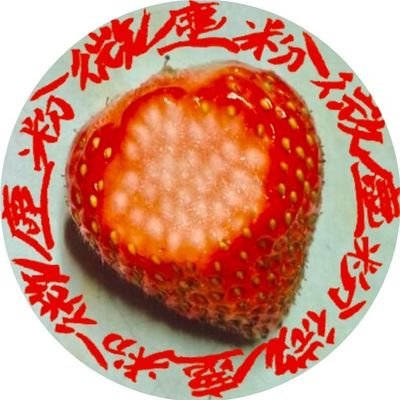 moekasumizinko's profile picture. 何故か10年以上使い続けたアカウントが突如凍結されました。
もう誰をフォローしていたかわかりません。
友達になってくれてたみんなごめんね🥲