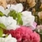 temo689's profile picture. مسوقه  بعموله نشر اكواد وروابط تسوق