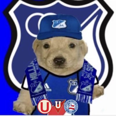 Millos_Irmao's profile picture. @Universitario @MillosFCoficial @LDU_Oficial @ecbahia