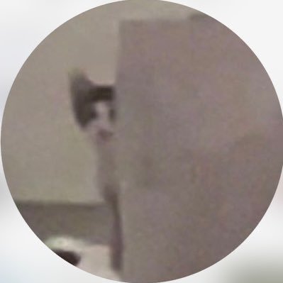 oshi_is_tensai_'s profile picture. あのちゃん推し垢デス❕❕❕ ンーィテンブセ そしあのすき I'sすき 雑多垢@ma2o0k ホールツアー 香川参戦します ヒスっていても許して。TikTok https://t.co/qxfLCStK7L インスタ↓