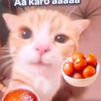 dinesh_sha43125's profile picture. 