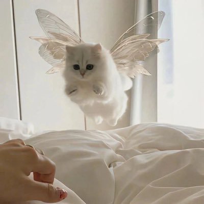 dadnazan44's profile picture. 