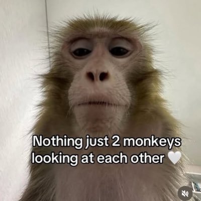 imnothingthing's profile picture. 