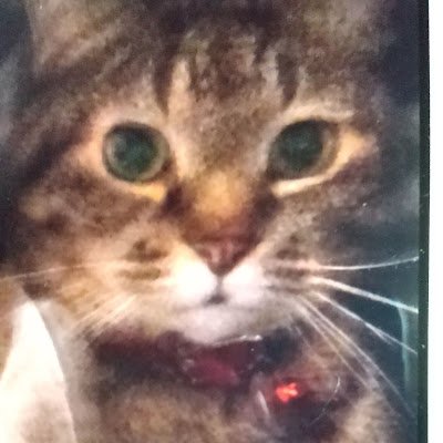 ijNqEcwbvl56251's profile picture. 