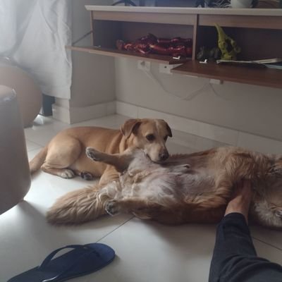 ggmariano10's profile picture. 