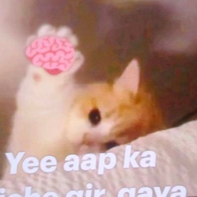 anjali61778's profile picture. 