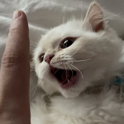 DippinDotty's profile picture. 