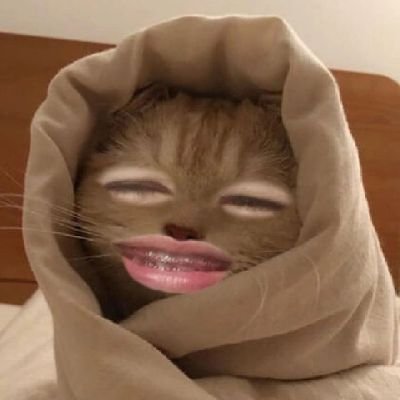 TPhutongkhop's profile picture. #ไม่ใช่ผู้หญิงจ้ะ #22Y60W175H                                         #ชอบคนสะอาด #ไม่ดูดบุหรี่ แค่นี้แหละแล้วก็ถ้าไม่ส่งรูปก็ไม่ตอบนะขอบอก☺️ 👈