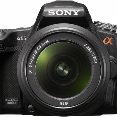 PPhilips2025's profile picture. Amateur tog, looking to gain experience, take some great pics and to enjoy the journey.