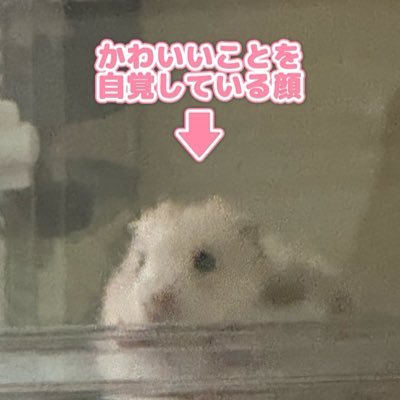 lfin_ry's profile picture. 20↑成人済 スパム0/ 永久鍵ROM：夢 腐 ヘテロ 単体 nmmn/ 多ジャンル / 何でも見ます。好きな方々をフォローします。