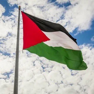 Tommy5448847514's profile picture. Old account got hacked please follow my new account 🥹😭🍉🇵🇸
