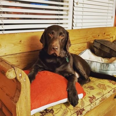 JohnBowen124109's profile picture. Blue Dot in a Red Sea