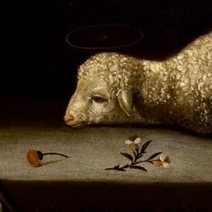 sulkmill's profile picture. pseudo-intellectual | failed poet | pretty happy, actually