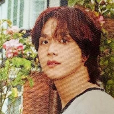 geminiscafe's profile picture. loverholic, robotronic