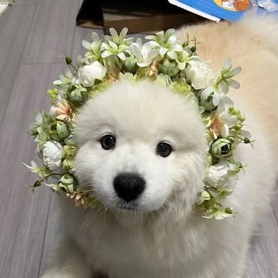 AuraJiBB's profile picture. 𝑁𝑜𝑏𝑜𝑑𝑦 𝑘𝑛𝑜𝑤𝑠 𝑢𝑠 𝑎𝑠 𝑤𝑒𝑙𝑙 𝑎𝑠 𝑤𝑒 𝑘𝑛𝑜𝑤 𝑜𝑢𝑟𝑠𝑒𝑙𝑣𝑒𝑠