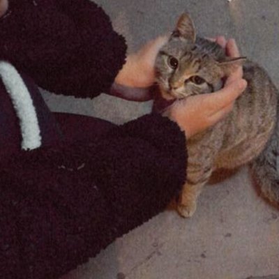 sacmalamahatice's profile picture. ask adamım ve Fenerbahçe