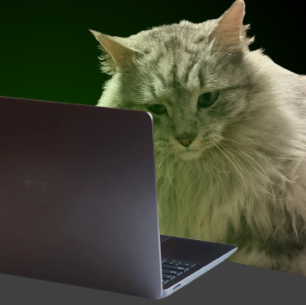 CatKingBoi's profile picture. E