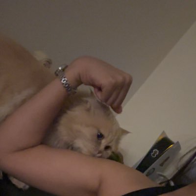 onlyneedles's profile picture. 