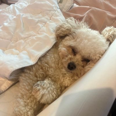 Wishful_wink's profile picture. 